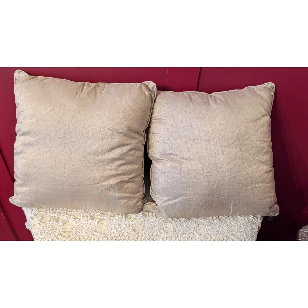 Set Of 2 Pier 1 Imports Birch Tree Embroidered Accent Throw Pillows 17